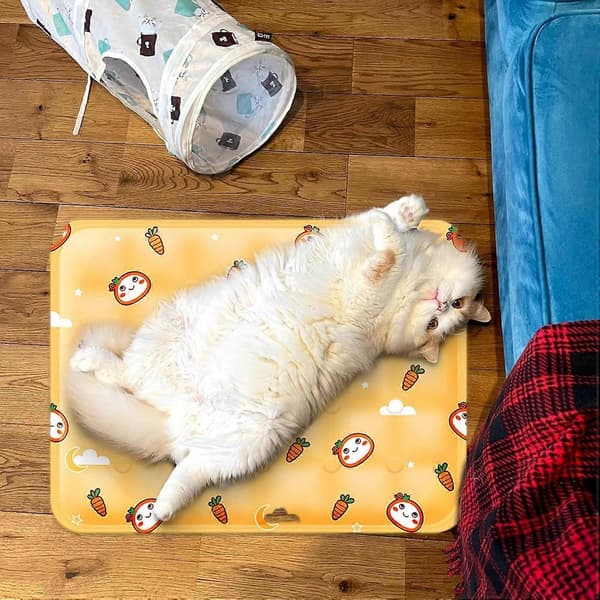 Kølemåtte til hunde, iskøletæppe til kæledyr, køleseng til hunde og katte om sommeren