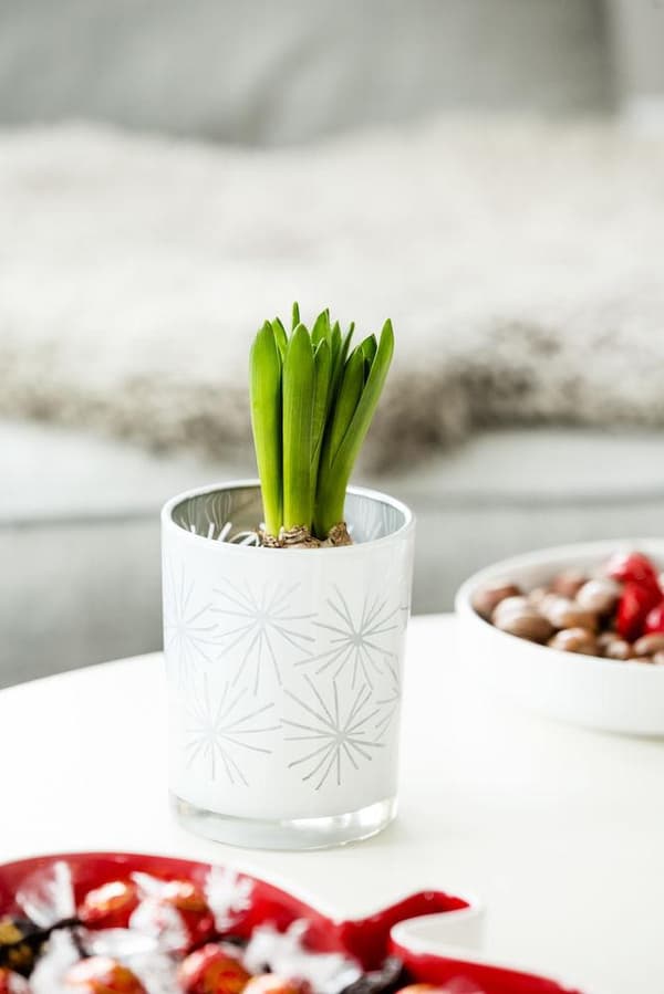 Sagaform Winter ljuslykta Vit 10 cm White