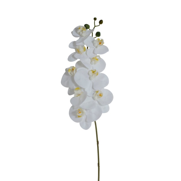 Konstväxt Orkidé kvist vit 80cm Stjernsund Kollektion Vit