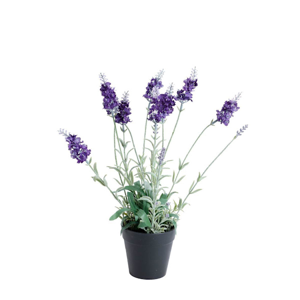 Konstväxt Lavendel H40 Stjernsund Kollektion Lavender