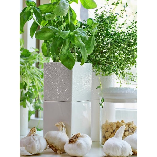 Örtkruka / Kruka Evergreen självvattnade, Cult Design Green