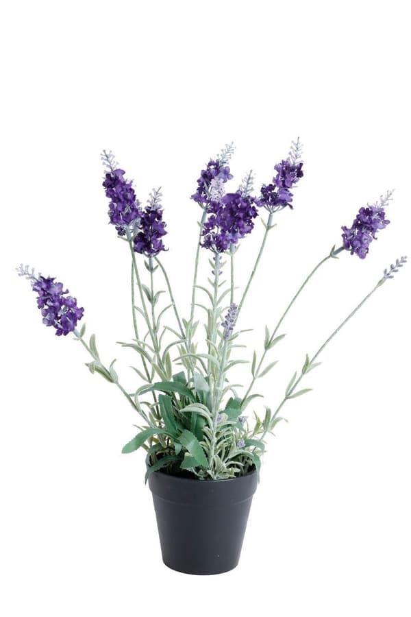 Konstväxt Lavendel H40 Stjernsund Kollektion Lavender