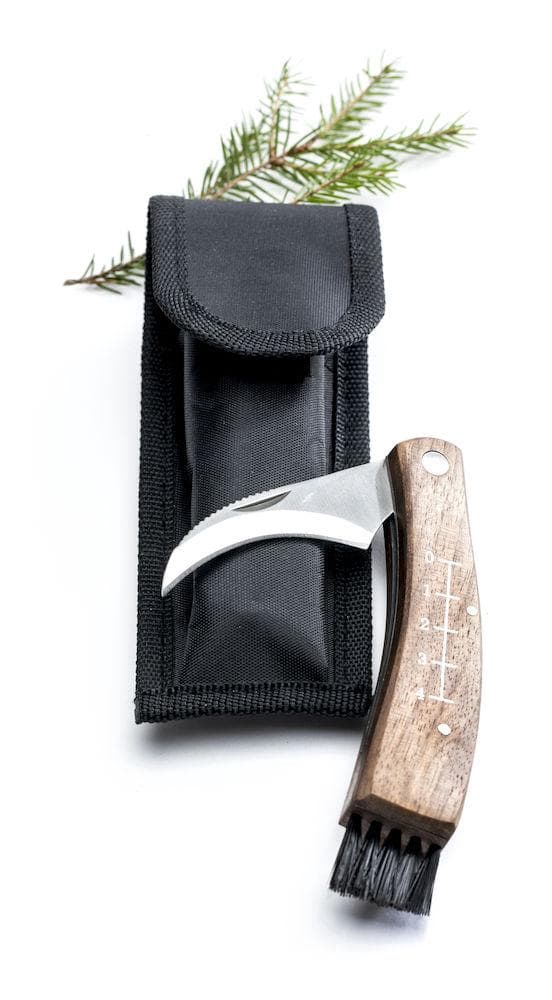 Svampkniv med fodral Sagaform Brun