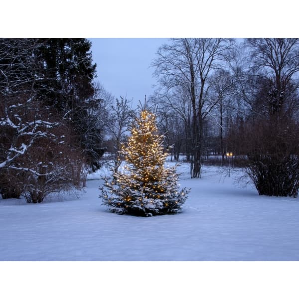Julgransslinga LED Shiny warm white Warm white