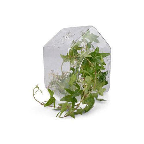 Ampel Glashus Form Living Transparent Stora huset