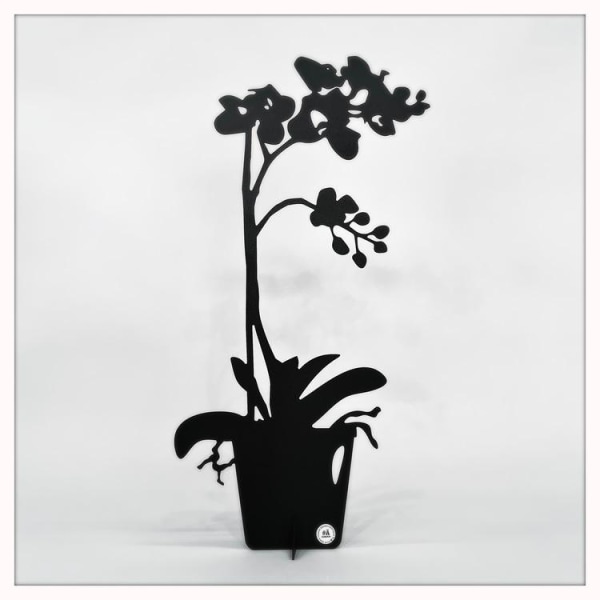 Orkidé - ETERNITY Dekoration 50cm Vit