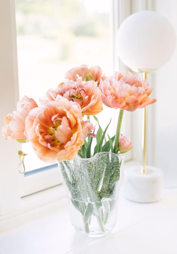 Tulip Tulpanvas 20cm Glas Dorre Transparent