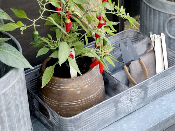Bricka/ Förvaring indelad 41,5 cm Grey