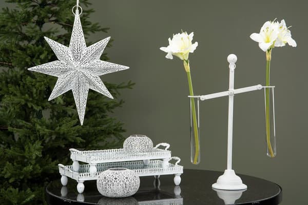 Vågskål Amaryllis Provrör Vit A lot White
