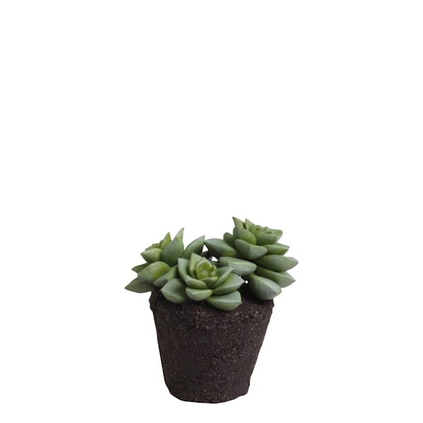 Konstgjord krukväxt Suckulent 11,5 cm Green