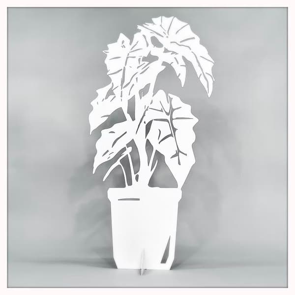 Skelettblomma 70cm Dekoration White