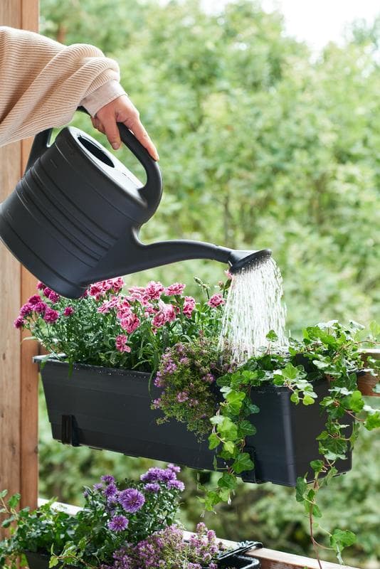 Vattenkanna 10 L Svart Splash Black