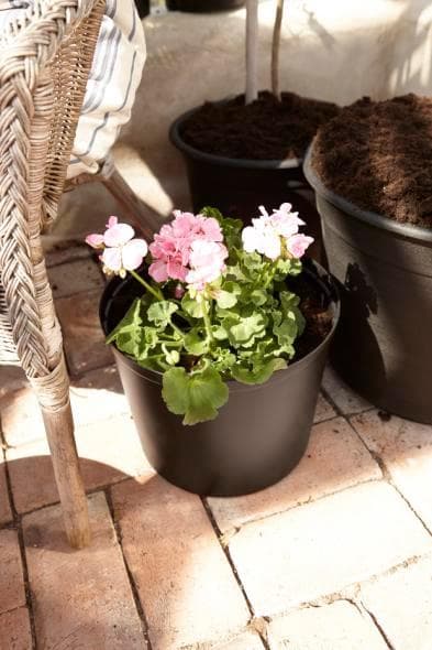 Planteringskruka 16 cm 2L Cultivate Orthex Black