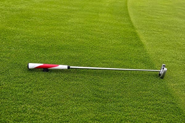 Klubbvagga för golf Svart