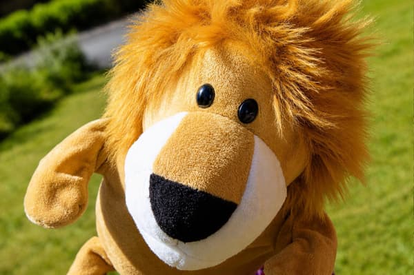 Headcover med djurmotiv - Lejon