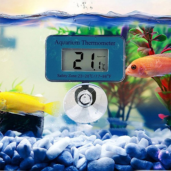Termometer till akvarium - Trådlös digital m sugpropp Blå