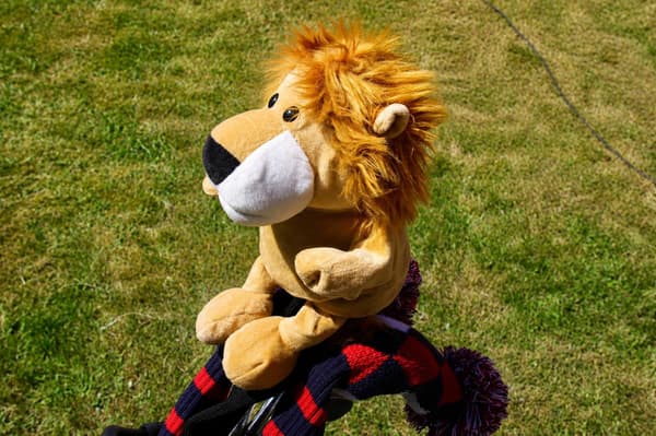 Headcover med djurmotiv - Lejon