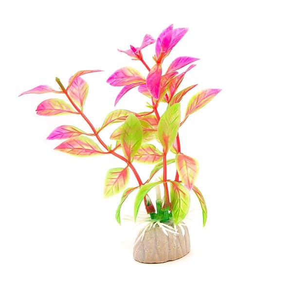 2-pack Akvarieväxt / inredning akvarium - Bladväxt Rosa/Grön Green