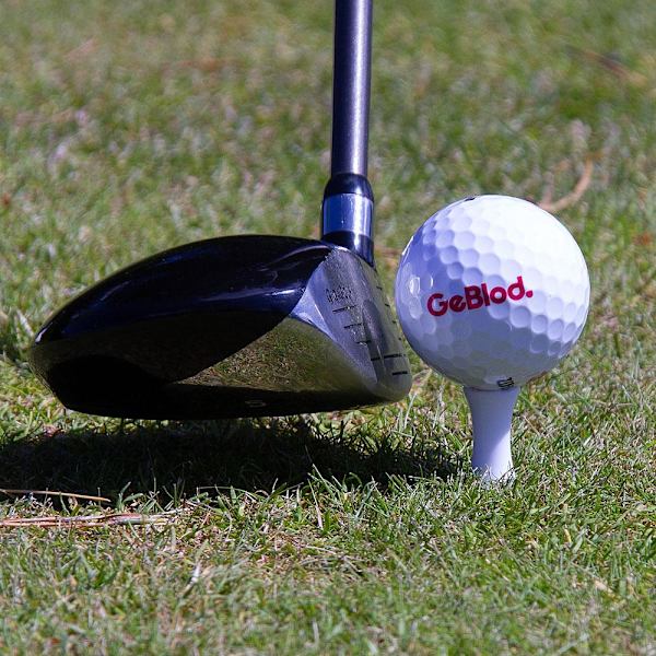 Golftegl i plast / Castle-tegl 24 mm (40 stk.) White