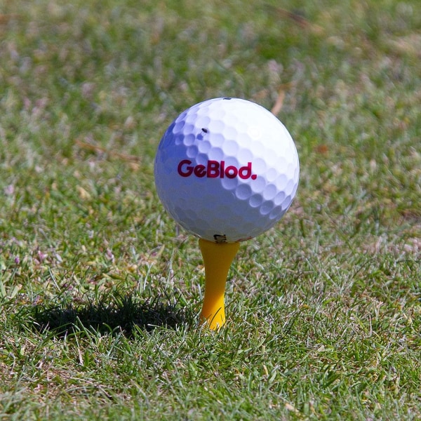 Golfpeggar i plast / Castlepeggar 30 mm (20 st)