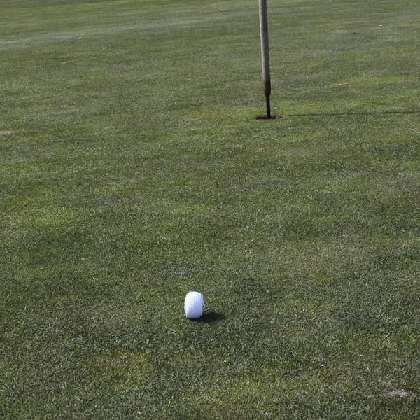 Golfboll för putterträning