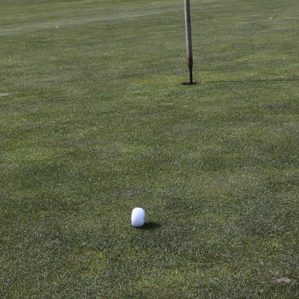 Golfpallo putterin harjoitteluun