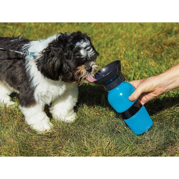 Vattenflaska för hund / Hundflaska med skål Blå 2e68 | Blå | 160 | Fyndiq
