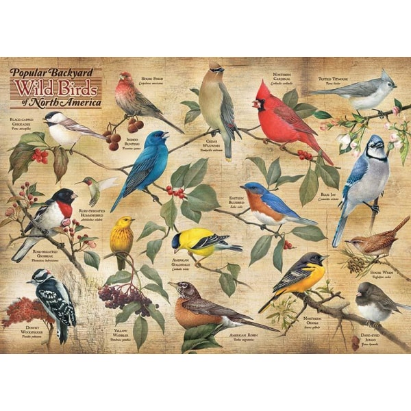 Cobble Hill Pussel - Populära trädgårdsfåglar 1000 bitar multifärg