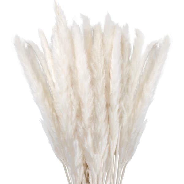 Naturlig, rør, tørret blomsterbuket