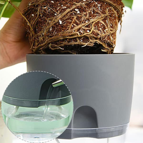 Plastblomkruka, 3-pack med fat, med bevattningssystem