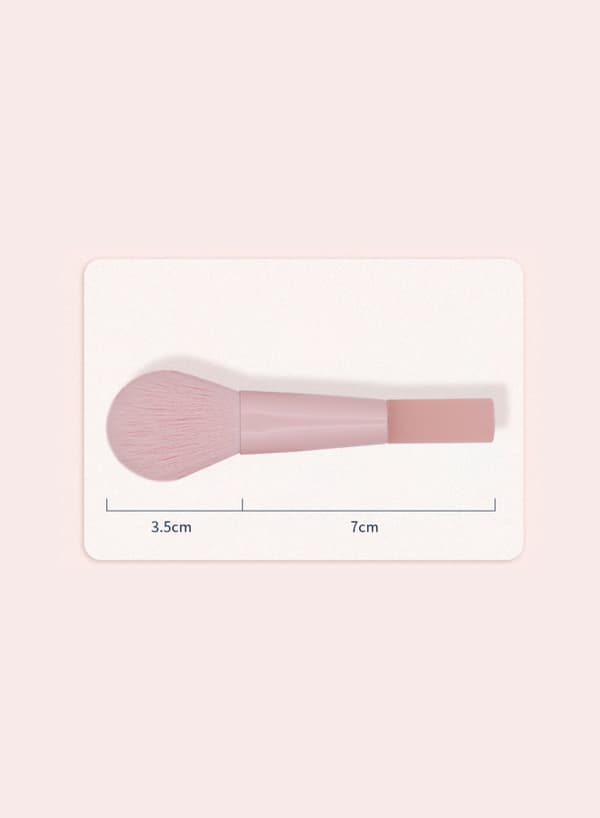10 supermjuka matta mini sminkborstar set rosa