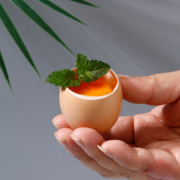 Eggedeler, eggedeler med slitesterk skrue i rustfritt stål for sikring.