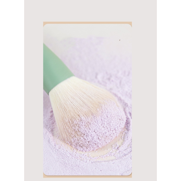10 stycken Morandi mini sminkborstset