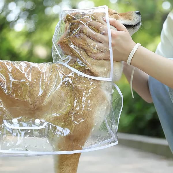 Regnfrakk for hund, liten regnfrakk for hund