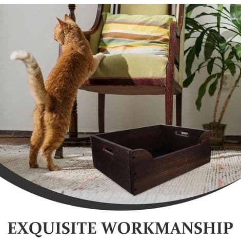 Stor bejdset trækattetoilet 45X32X155 CM til katte og