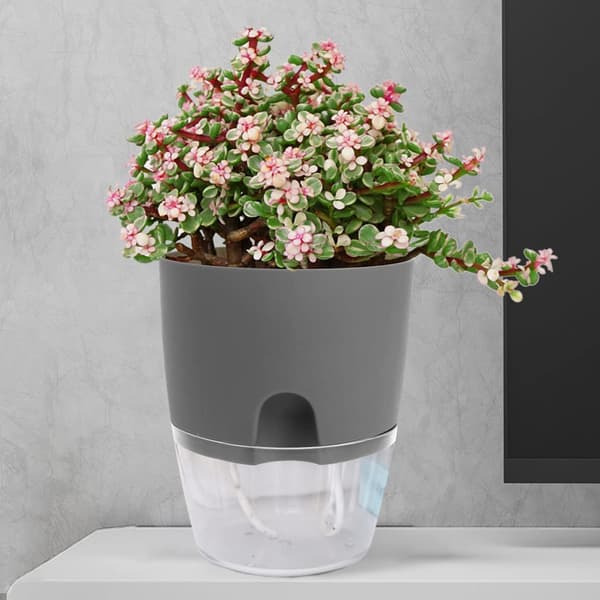 Plastblomkruka, 3-pack med fat, med bevattningssystem