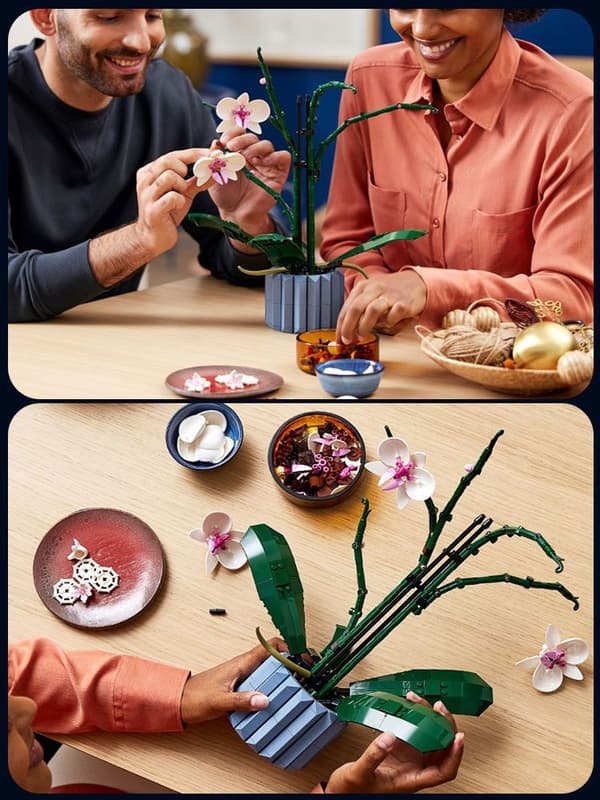 Orkidé 10311 Konstgjort Set, Heminredning - Perfekt