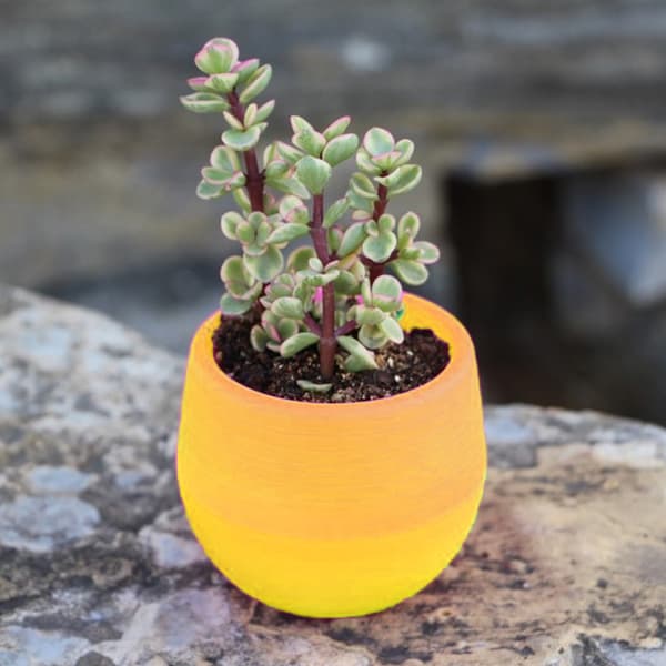 Mini Blomsterpotte, Regnbuepotte Egnet Til Indendørs Og Udendørs Have
