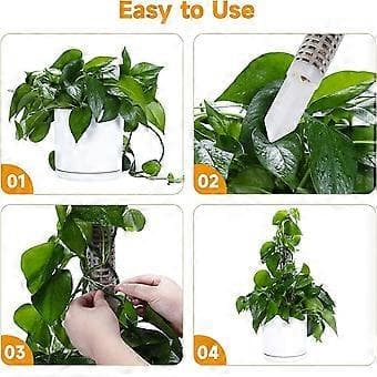 【YD】Stackable Transparent Plastic Moss Pole for Plants Monstera, Indoor Plant Accessories Support Stakes, Plant Stakes