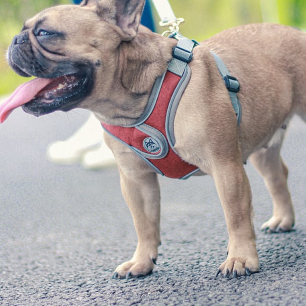 Kæledyrsbrystrem hundekop hundekæde hundekop kæledyrsforsyninger l