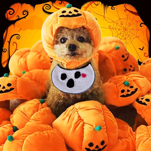 【YD】Halloween-hat til kæledyr - Græskarhat