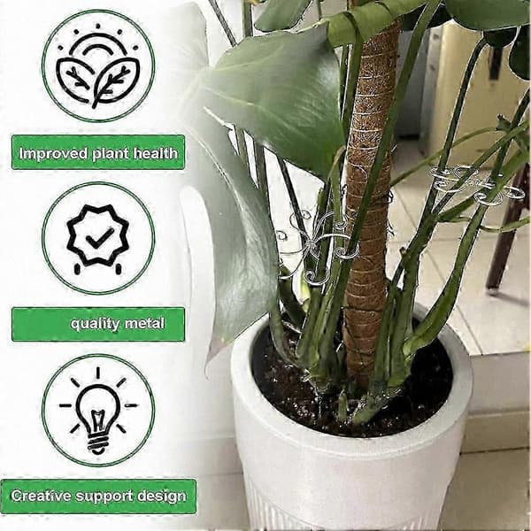 6-pack växtstöd, unika metallhållare för Monstera och andra växter, robust bambuinspirerad design SI