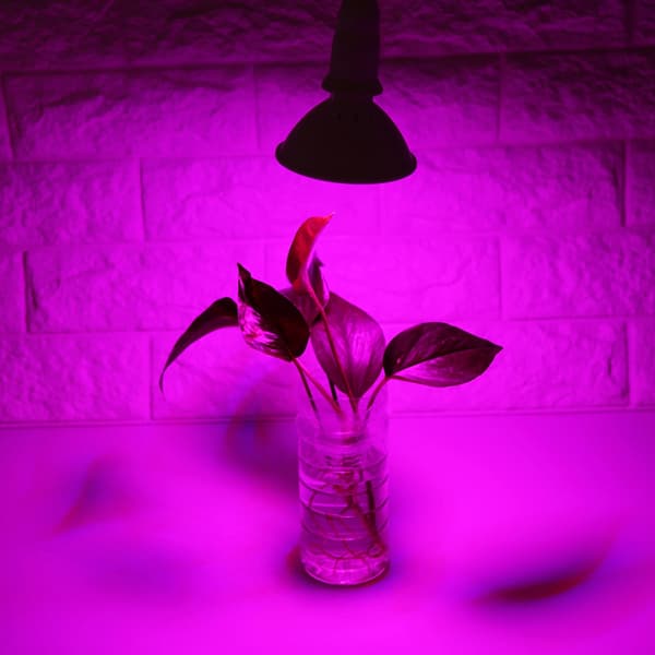 [YD] Højeffektiv 24W E27 LED-groeelys til hydroponiske blomster- og grøntsagsplanter