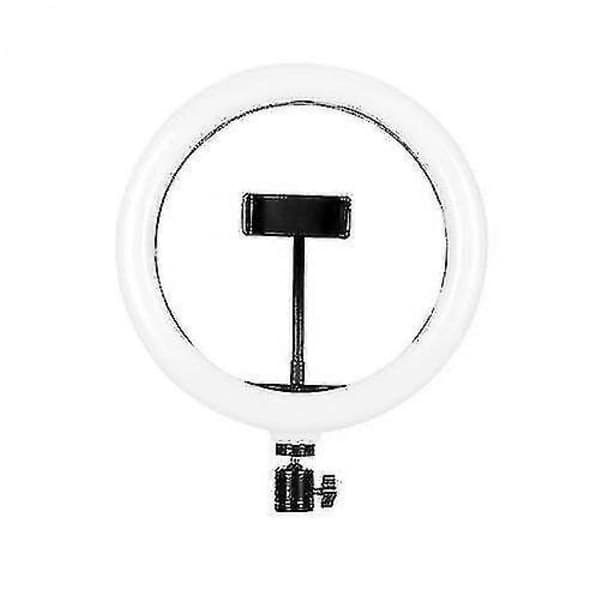 10 tommer RGB-ringlys LED farverigt fyldlys