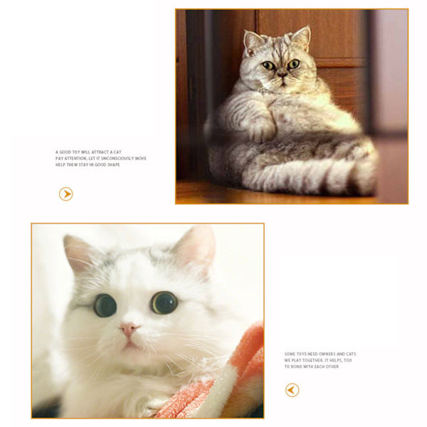 Cat Tunnel Trygg Miljøvennlig Interaktiv Rainbow Pet Play Tunnel for små kjæledyr Hunder Rett tunnel