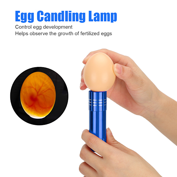 Blå 9-LED Egg Inkubator Lyslampe - Fjærfe Tilbehør for Klekketester