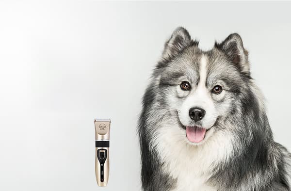 【YD】Kæledyrsklipper, hundehårstrimmer, katteklipper
