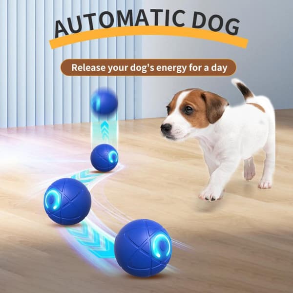 [YD]Interaktiv Automatisk Ball for Hunder og Katter