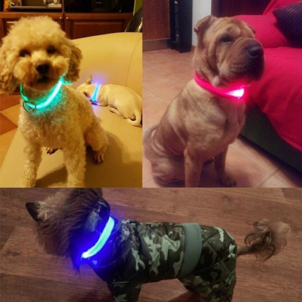 2PCS LED Hundehalsbånd / Reflekshalsbånd til hund - Oppladbart Black S - Svart