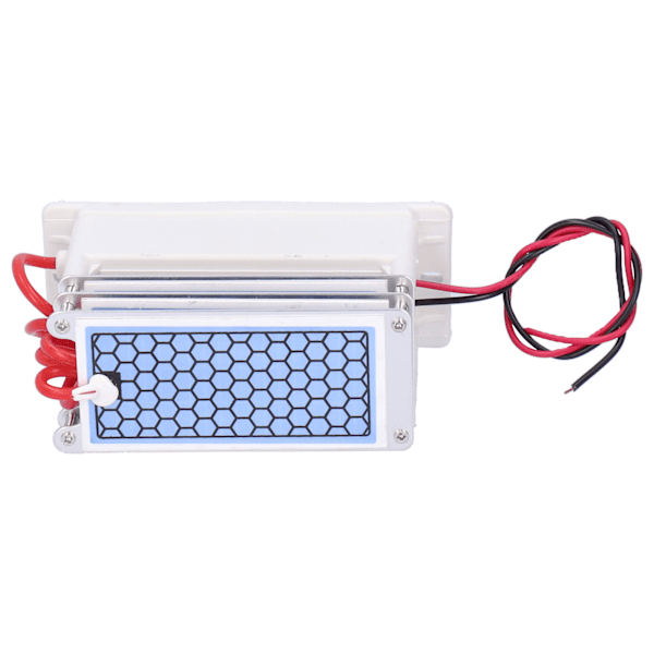 15G Ozon Generator med Integrert Keramisk Plate Luftrenser for Industriell Bruk (220V)